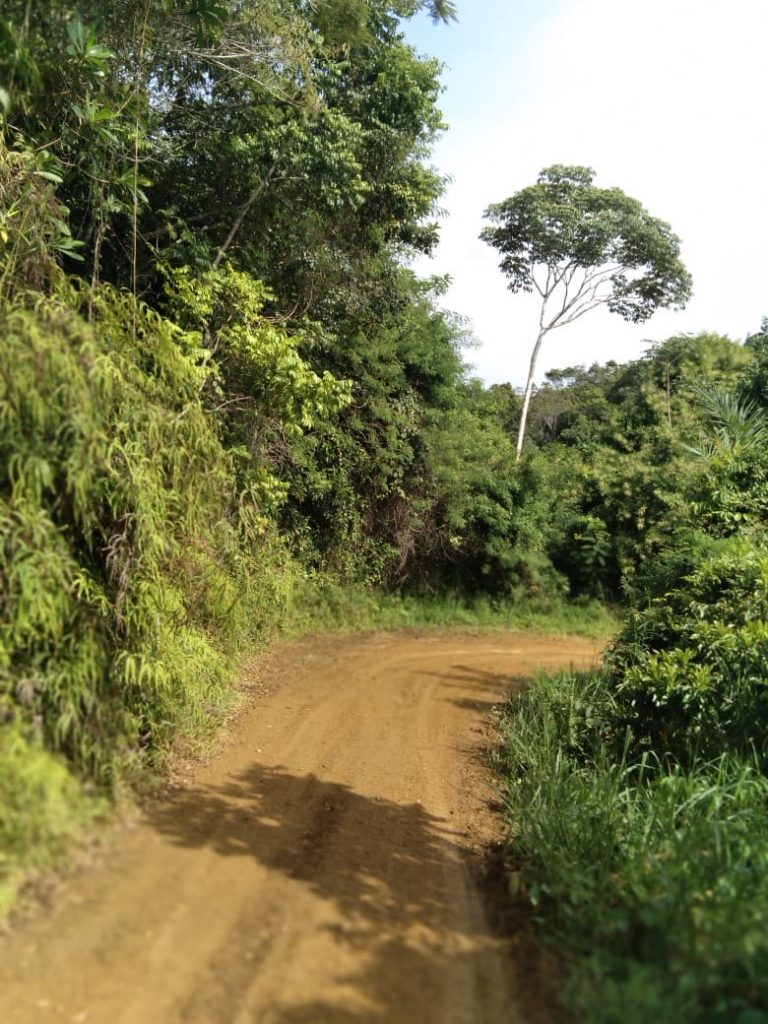 Terreno 35 hectares 29 km de Itacaré sentido Camamu!